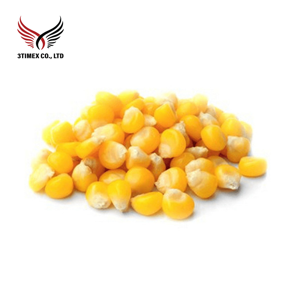 Bắp Mỹ tách hạt đông lạnh